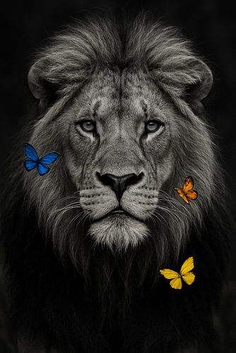 Leeuw in balans – grijs-wit met kleurrijke vlinders