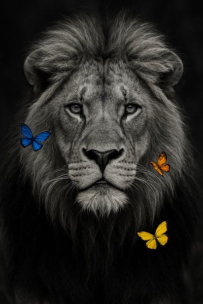 Lion in balance - grey and white with colourful butterflies by Kleurenrijk