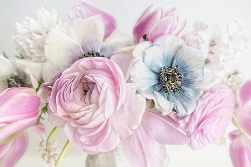 Nouvelle fleur n° 3