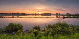 A sense of calm and tranquillity on the water at Ae'’s Woudbloem in the province of Groningen