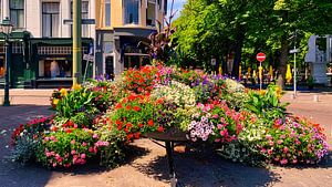 Blumenpracht-Zentrum Den Haag