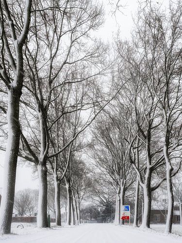 Welcome to Beers by Lex Schulte