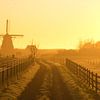 Molen bij Dorregeest in het gouden uurtje van peterheinspictures
