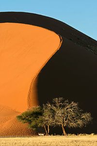 Dune 45 by Antwan Janssen