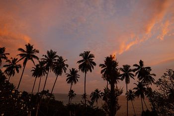 Magnifique coucher de soleil au Sri Lanka avec des palmiers tropicaux