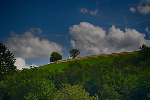 Arbres sur la colline sur Ger Nielen