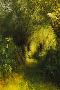 Allée de saules dans le Biesbosch