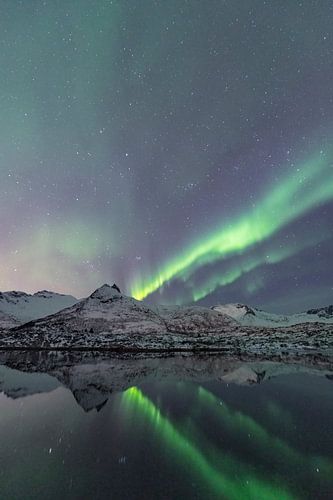 Noorderlicht boven een fjord op de Lofoten in Noorwegen