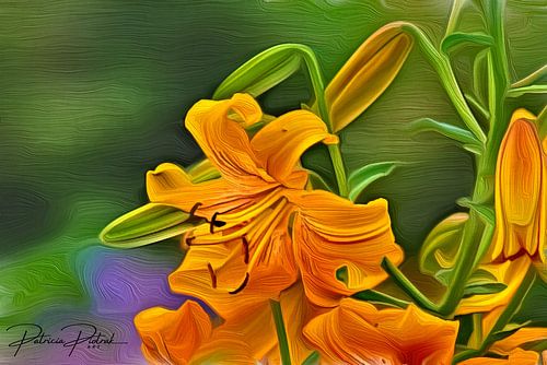 Gouden gratie: een stralende lelie