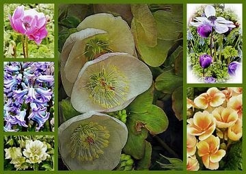 Cultivated Spring Collage by Dorothy Berry-Lound