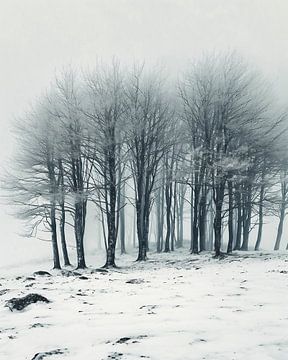 Betoverd bos in de winter van fernlichtsicht