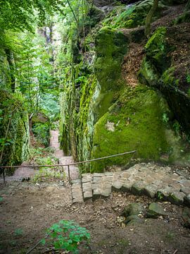 Sächsische Schweiz - Fremdenweg am Kuhstall