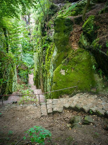 Saksisch Zwitserland - Toeristenpad bij de koeienstal