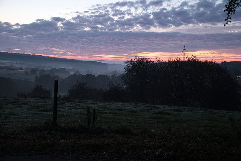Boom in een weiland in de mist bij zonsopgang van Martin Köbsch