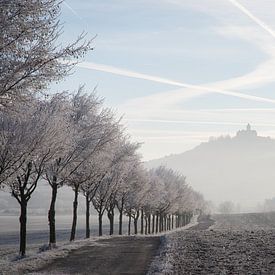 Winter avenue: Wachsenburg Castle cloaked in hoarfrost by Christian Möller Jork