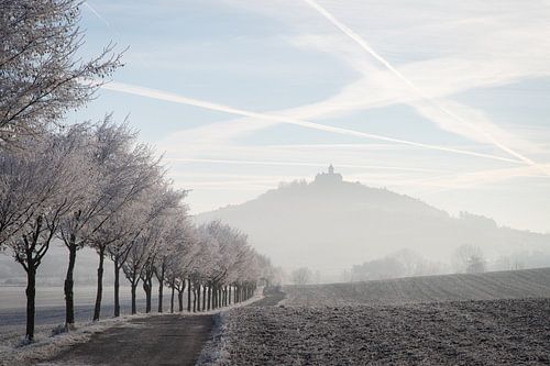 Allée hivernale : le château de Wachsenburg recouvert de givre