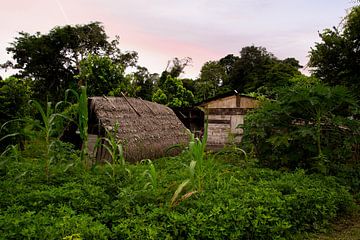 This Maroon village lies on the Suriname River in Suriname by René Holtslag
