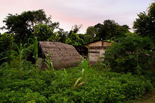 Dieses Maroon-Dorf liegt am Suriname-Fluss in Suriname