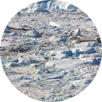 Zicht op de Icefjord van Reinhard  Pantke