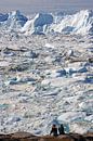 Aussicht auf den Eisfjord von Reinhard  Pantke Miniaturansicht