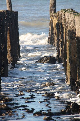 Golfbreker Cadzand Bad