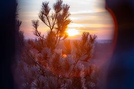 Sonnenaufgang von Akos Terdik