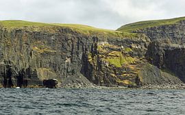 Cliff's of Moher - Irland