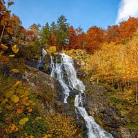 Todtnau waterval in de herfst