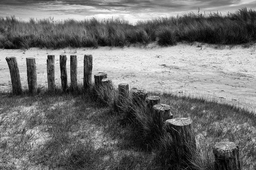 Strand Katseveer von M. van Oostrum