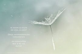 Pluisjes gedragen door de wind von Beeld en Poëzie