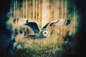 The Owl and the Fox 1 van Maneschijn FOTO