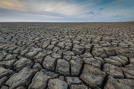 Structures on the Wadden Sea by Andy Luberti