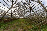 A drying rack for fish on the Lofoten Islands in Norway