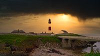 Der Buchan Ness Leuchtturm in Schottland von Babetts Bildergalerie Miniaturansicht