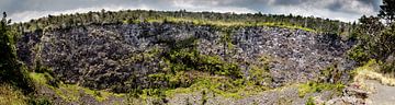 Cratère Puhimau sur Big Island sur Dirk Rüter