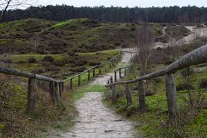 Ein Weg über die Dünen