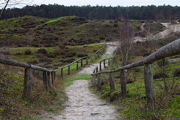 Un chemin à travers les dunes sur Gerard de Zwaan