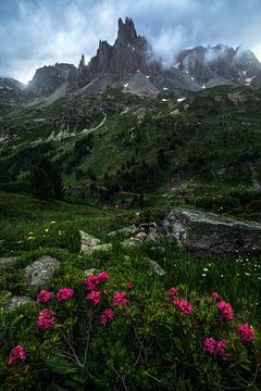 Une soirée d'été nuageuse dans les Alpes françaises sur Daniel Gastager