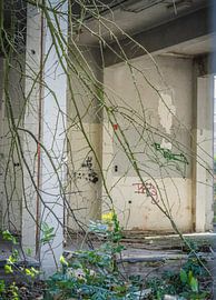 view through the green on an old school by Hanneke Bantje