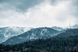 Schwarzwald im Winter