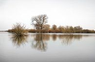 IJssel von Joke Absen Miniaturansicht