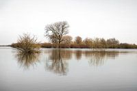 IJssel