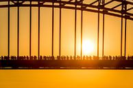 Vier -Tage-Marsch Nijmegen Waal Brücke von Sander Peters Miniaturansicht