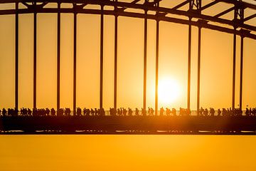 Vier -Tage-Marsch Nijmegen Waal Brücke von Sander Peters Fotografie