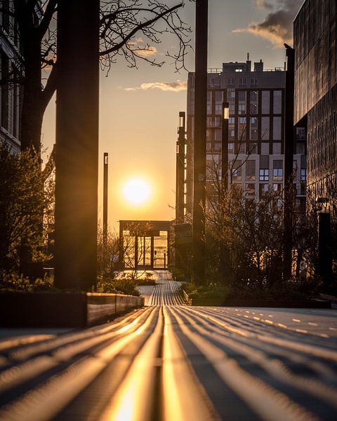 Sunset on the Palace Bridge by Bram Veerman