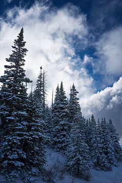 Première neige sur Martin Podt