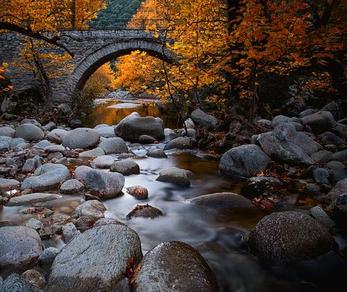 Herbststimmung