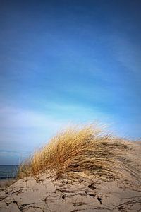 dunes