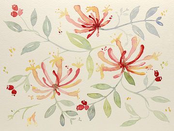Honeysuckle (Aquarell Malerei Pastellfarben rot rosa Pflanzen Blumen Garten Kletterpflanze hell ) von Natalie Bruns