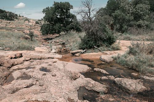 Ein Moment in einem Nationalpark